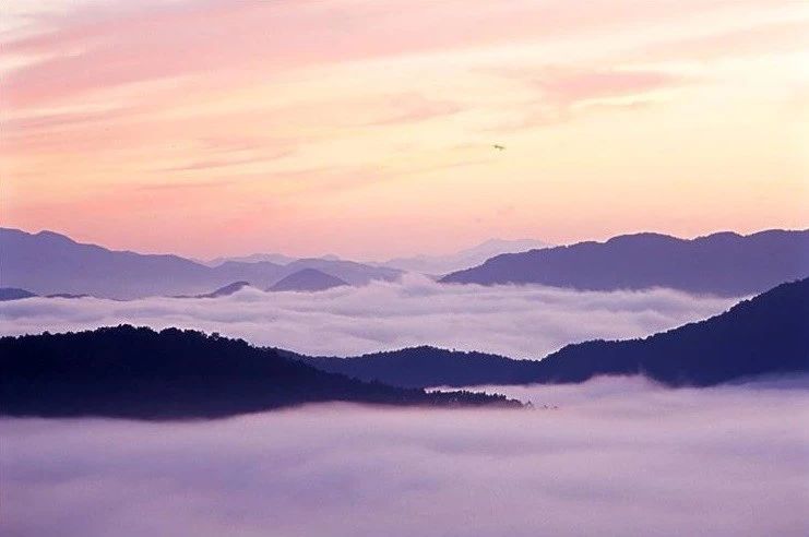 为什么《金刚经》说:一切法皆是佛法? 为什么《金刚经》说:一切法皆是佛法?