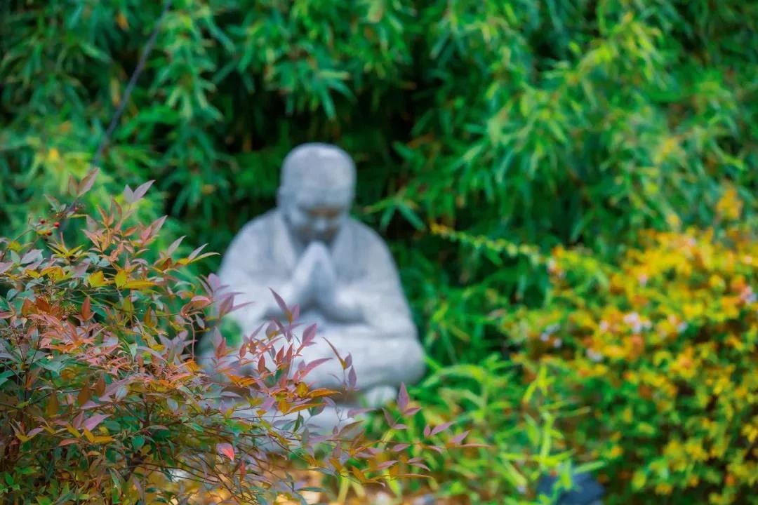 为什么《金刚经》说:一切法皆是佛法? 为什么《金刚经》说:一切法皆是佛法?