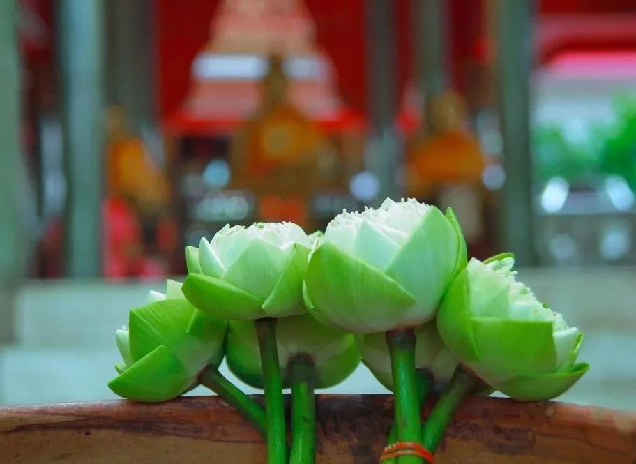 �����ˣ����������ж��