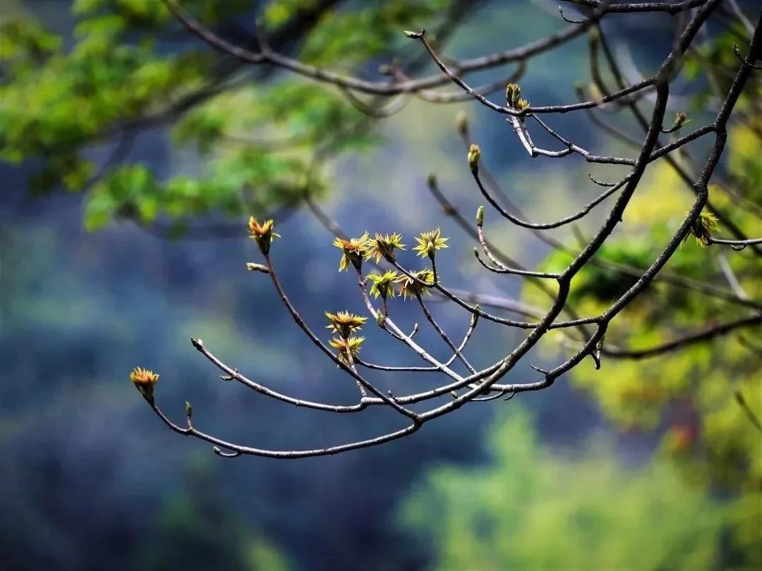 �����ˣ����������ж��