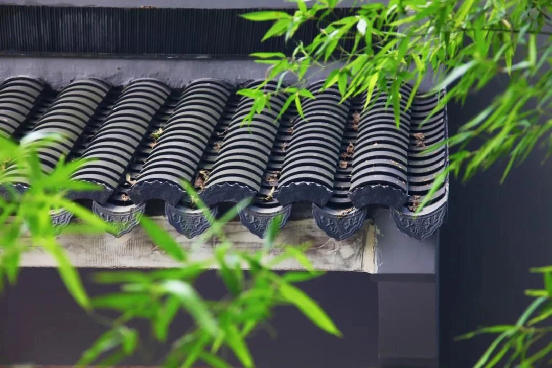 这位老太婆念佛成就的原由,在心不在身 这位老太婆念佛成就的原由,在心不在身