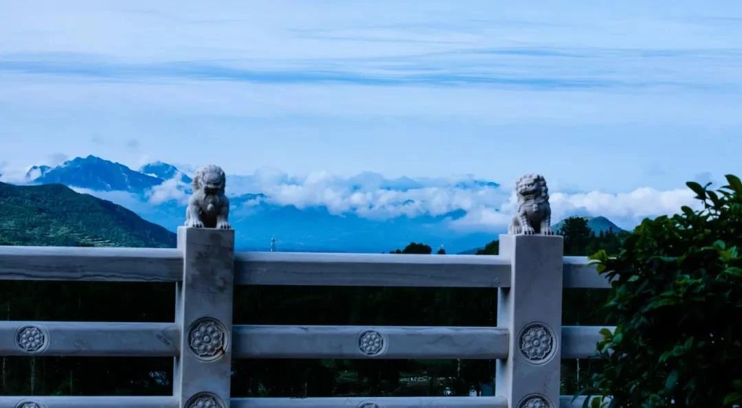 这位老太婆念佛成就的原由,在心不在身 这位老太婆念佛成就的原由,在心不在身