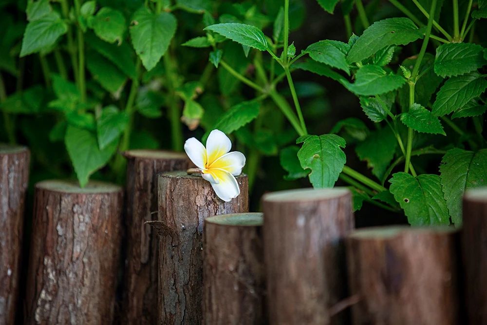 ��Ŀ�������£���û�й��£�