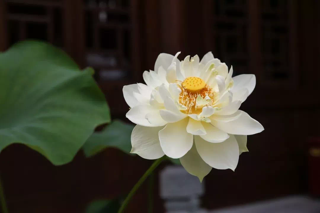 般若波罗蜜,到底是什么? 般若波罗蜜,到底是什么?