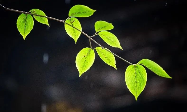 ����Ŭ����������Ե