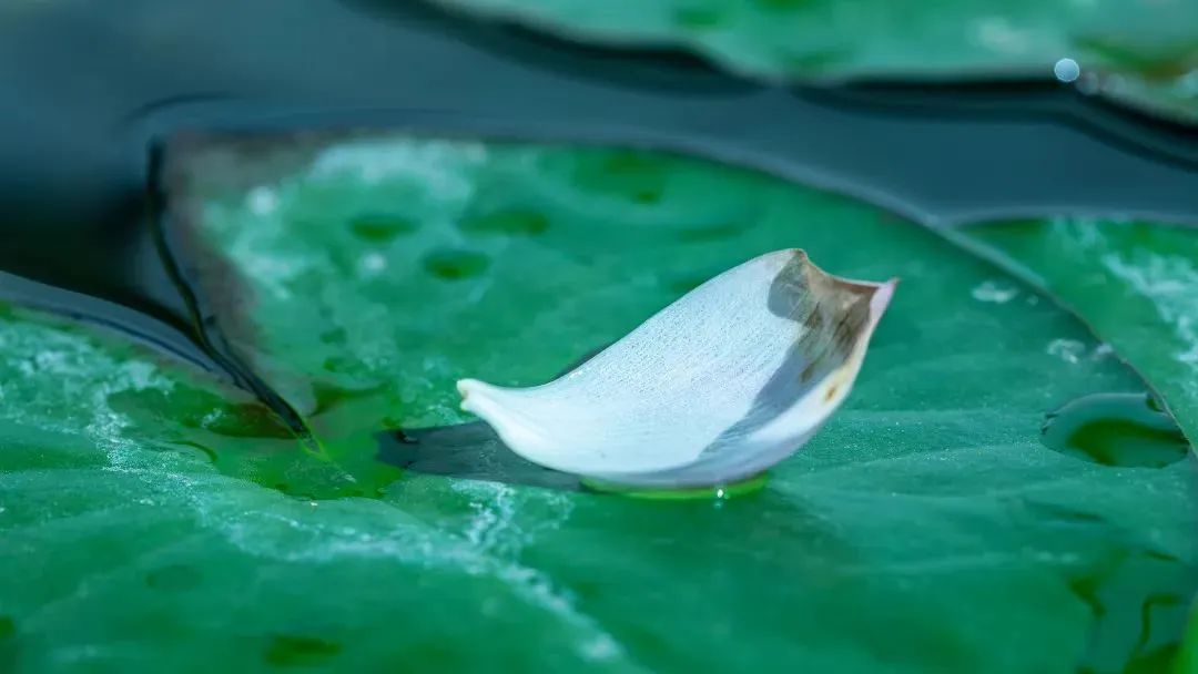 ��ʿ�Ǿ��������ѧ��