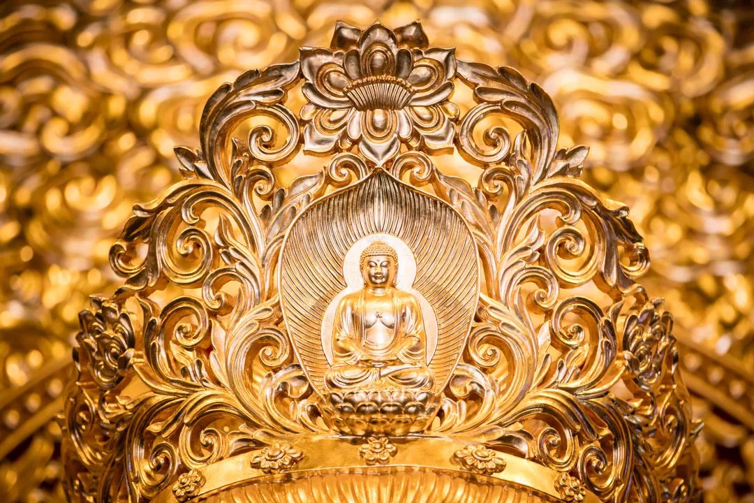 ��ʿ�Ǿ��������ѧ��