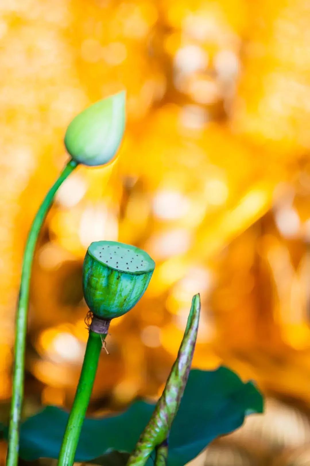 ��ʿ�Ǿ��������ѧ��