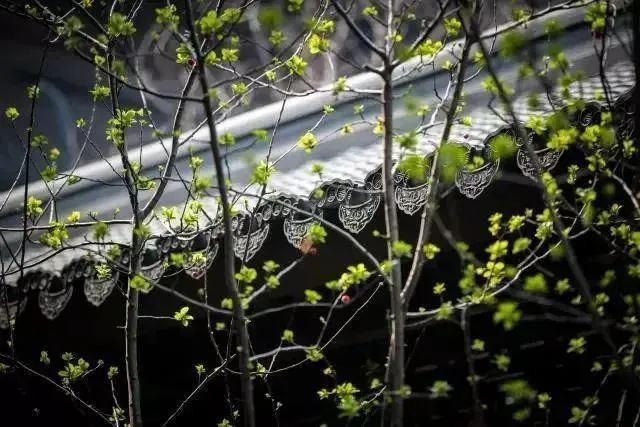 �������·�ϵ�������;�����ɲ�֪��