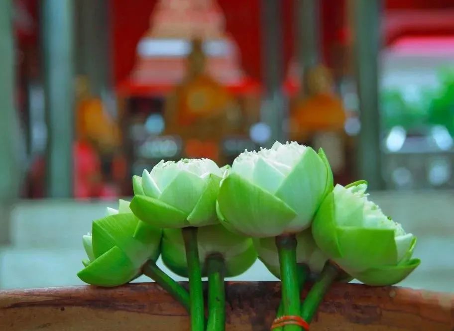 �����ˣ����������ж��