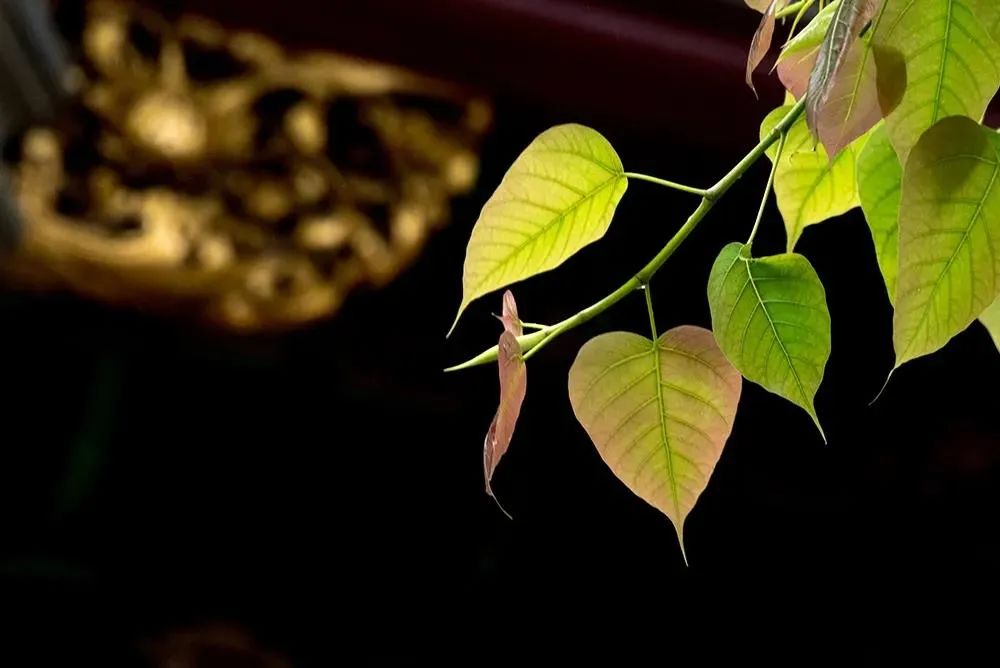 Ը�������⣬�������ᣬ����Ե����ҵ��