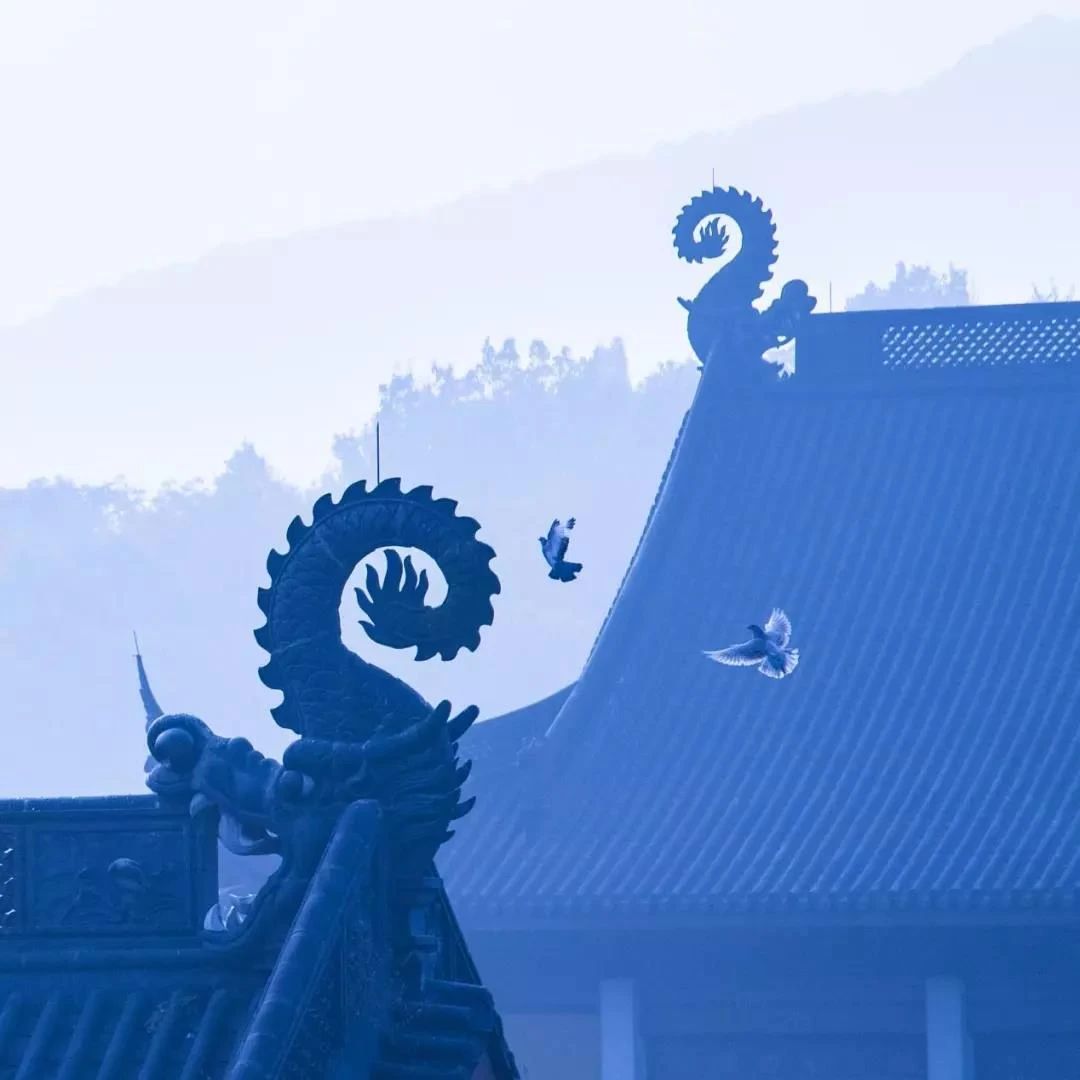 修净土必须要了解的十件事! 修净土必须要了解的十件事!