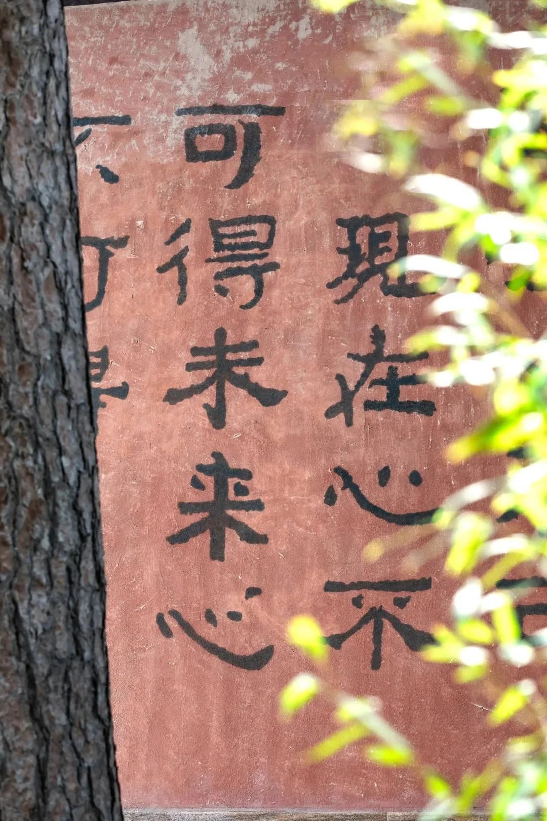 ѧ�����Ҫ�����ĸ����ģ�ȱһ����