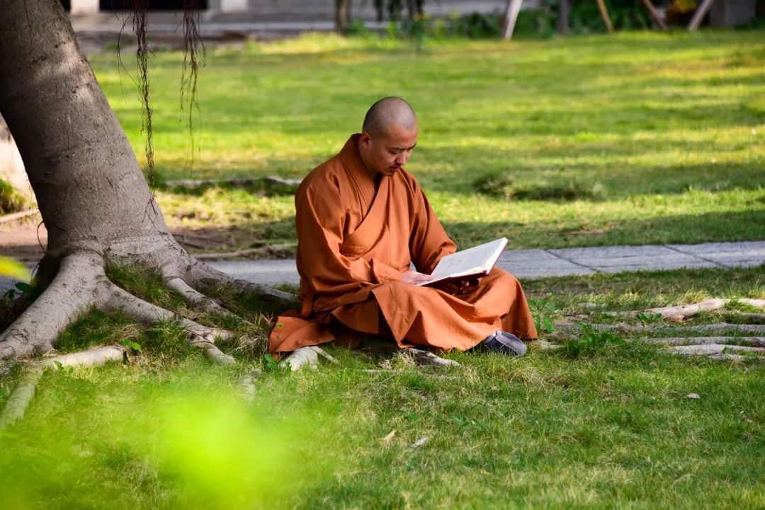 一个真正的修行人,一定有勇气忏悔 一个真正的修行人,一定有勇气忏悔