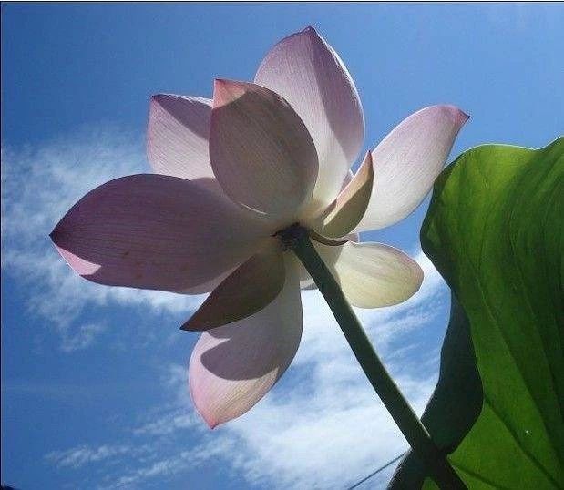 �����У������˼������Ե���