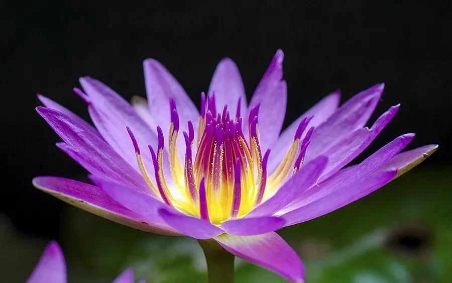 һ�ǰ��ȣ��㻹û�Զȣ��Ͷ��������