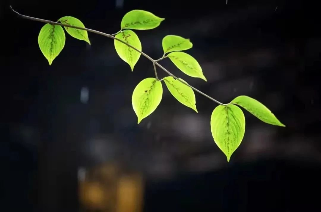 һ�ǰ��ȣ��㻹û�Զȣ��Ͷ��������