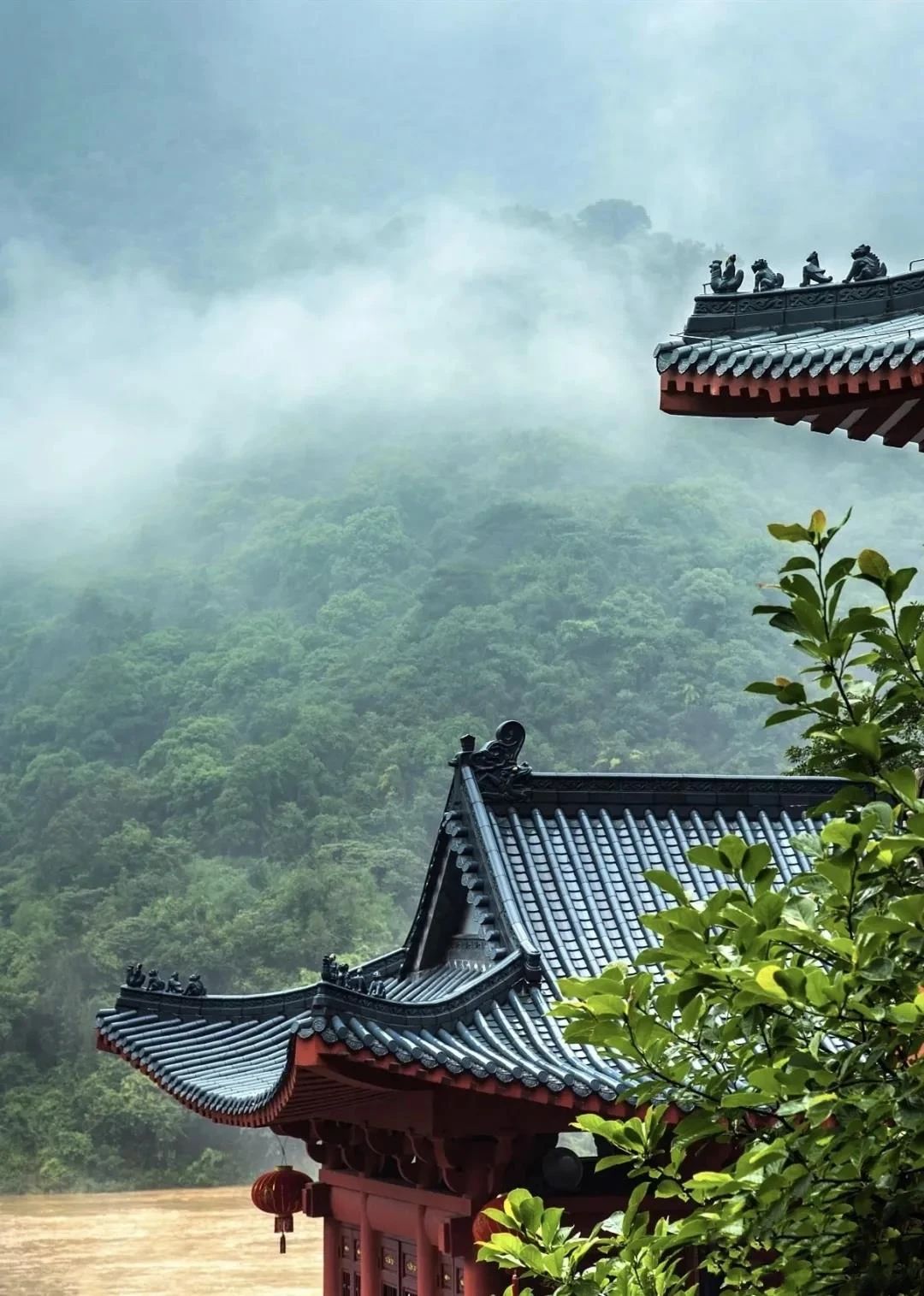 �Ƶ���ʦ�����