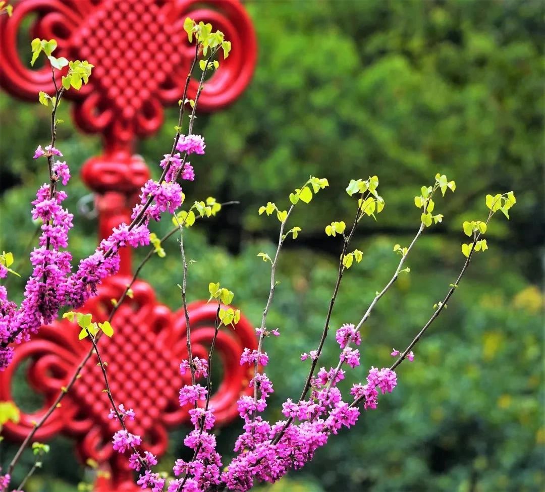 ѧ������Ҫ����˸�����