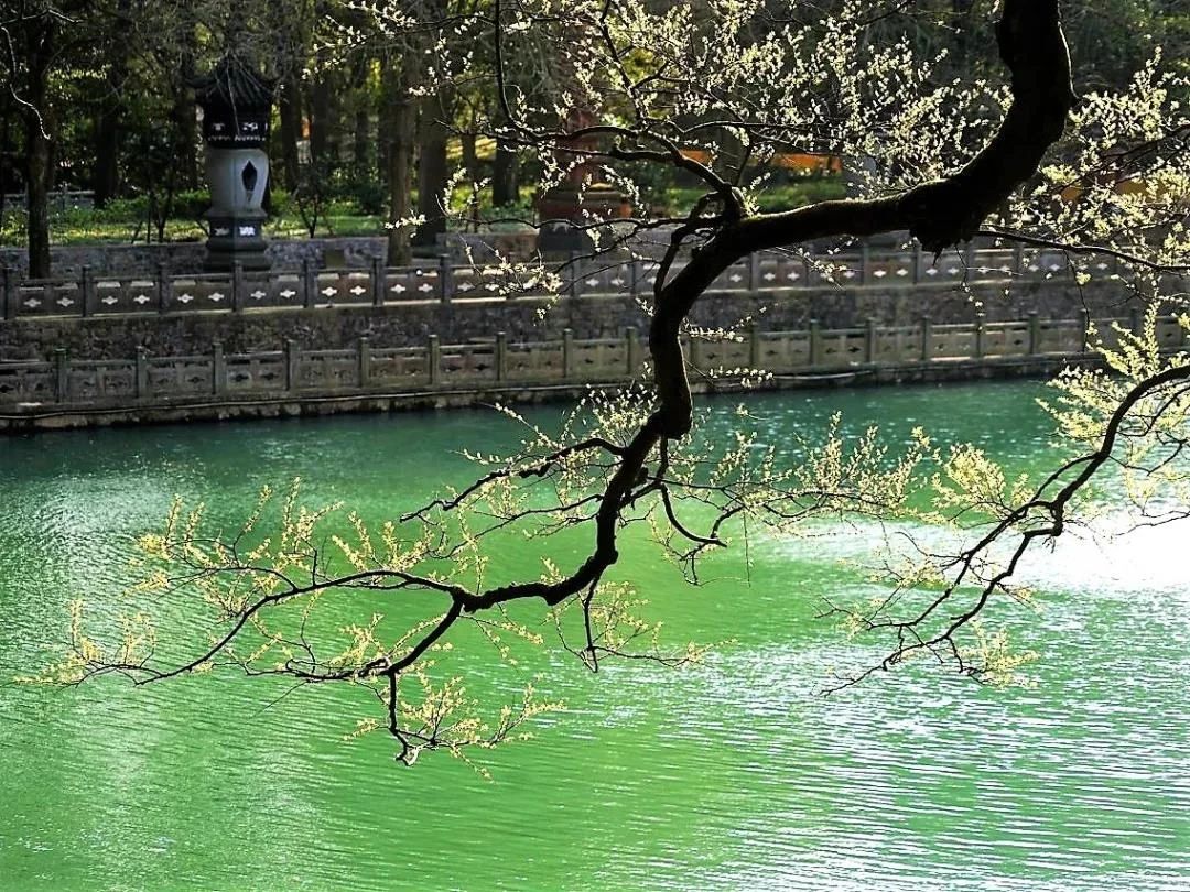 ѧ������Ҫ����˸�����