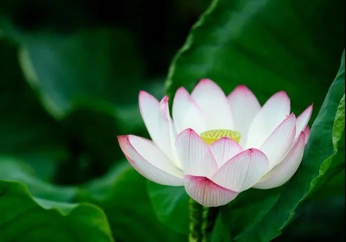 ����һ����������������ϰ��