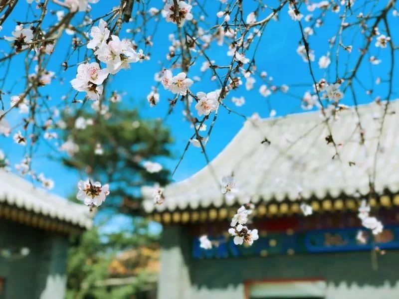 �ȱ����ˣ��ǻ����£���ѧ���ԭ��