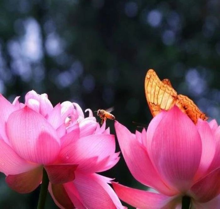 下定决心,了生死在一念之间 下定决心,了生死在一念之间