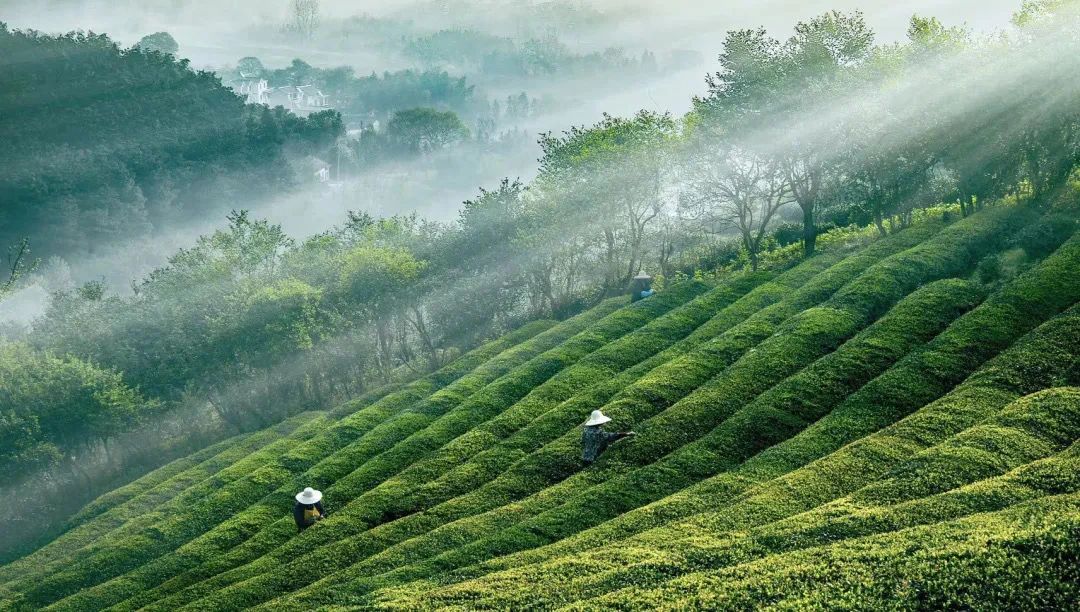 ���������ȥ��������ǵĺ����ǳ��Ĵ�