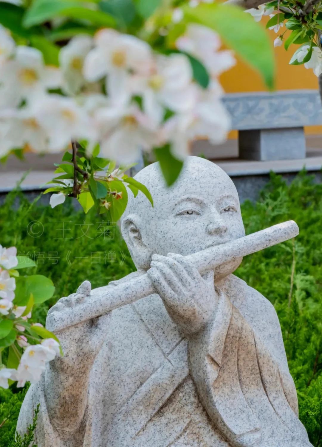 一个人学佛,真的是一家人都有福~ 一个人学佛,真的是一家人都有福~