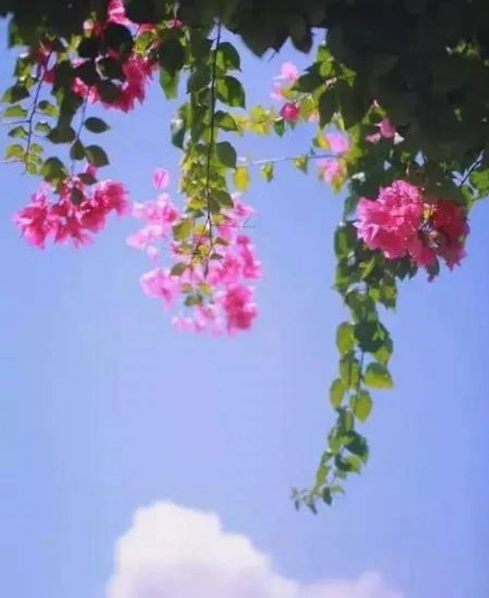 �������������Ʒ���������Ҫ�������Ʒ�