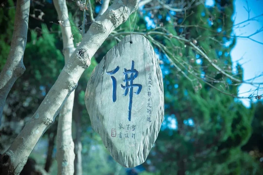 念“阿弥陀佛”时,不懂这几点,再念也无用! 念“阿弥陀佛”时,不懂这几点,再念也无用!