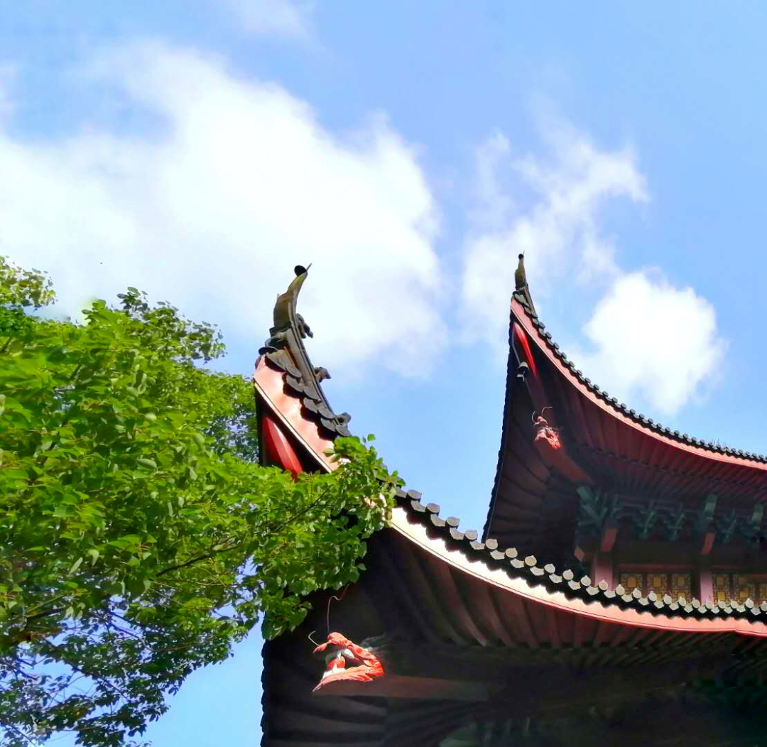 ��δ�в�Ը�Լ���������Ϥ�Գ��ٰ�����