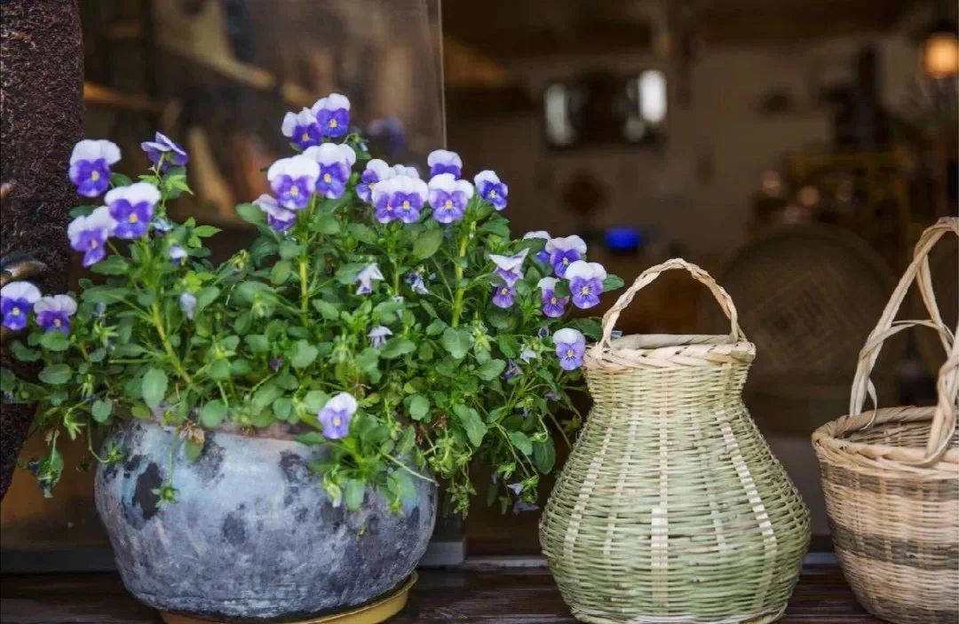 ��ͥΪʲô��ô��ì�ܣ����˲Ż�Ȼ����