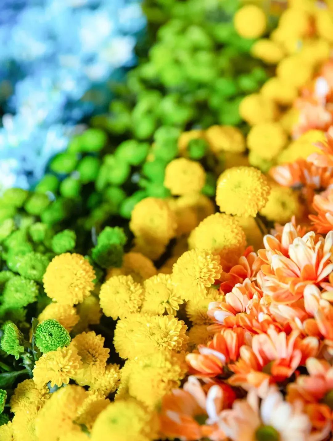 念佛十疑,是不是也说出了你的困惑? 念佛十疑,是不是也说出了你的困惑?