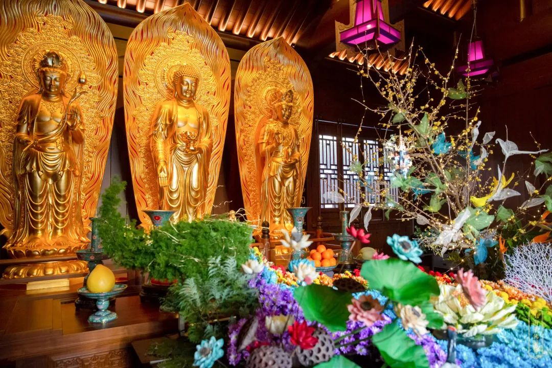 念佛十疑,是不是也说出了你的困惑? 念佛十疑,是不是也说出了你的困惑?