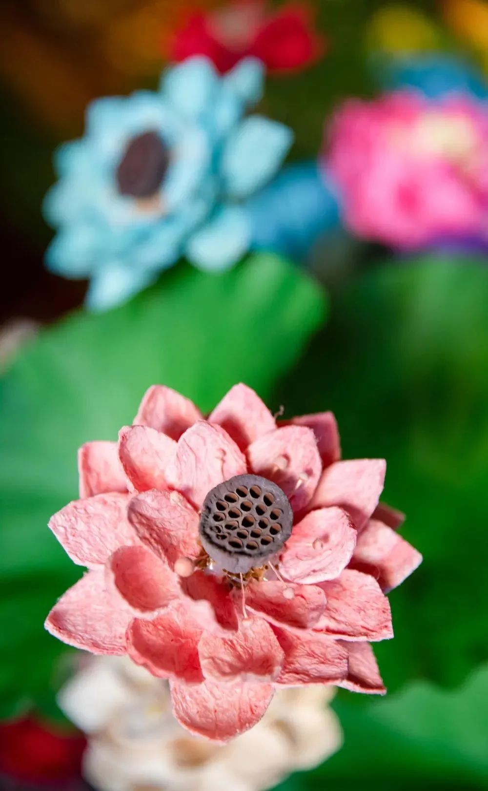 念佛十疑,是不是也说出了你的困惑? 念佛十疑,是不是也说出了你的困惑?