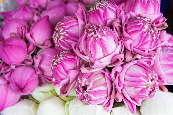 ����ӾӼ����е�һ�죬��������������