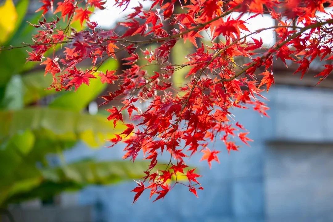 ��ҪС��������ӡ�ʮ���ӣ�������ȥ�Ͳ�����