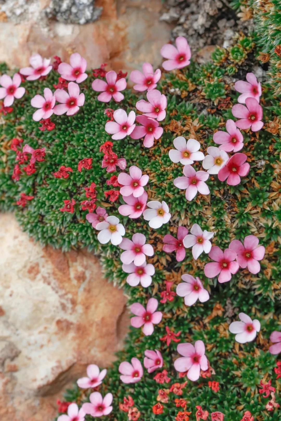 把佛法融入生活,原来也不是什么特别难的事情! 把佛法融入生活,原来也不是什么特别难的事情!