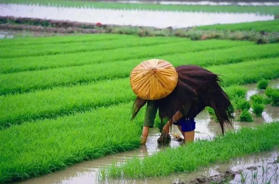 从平常的事务里,涤虑澄思,净化身心 从平常的事务里,涤虑澄思,净化身心