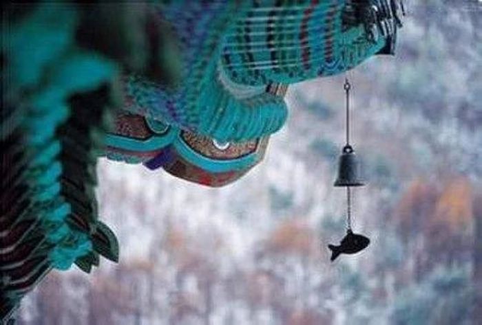 �����Ϻ��е����ؿ��ԣ����ܼ�����