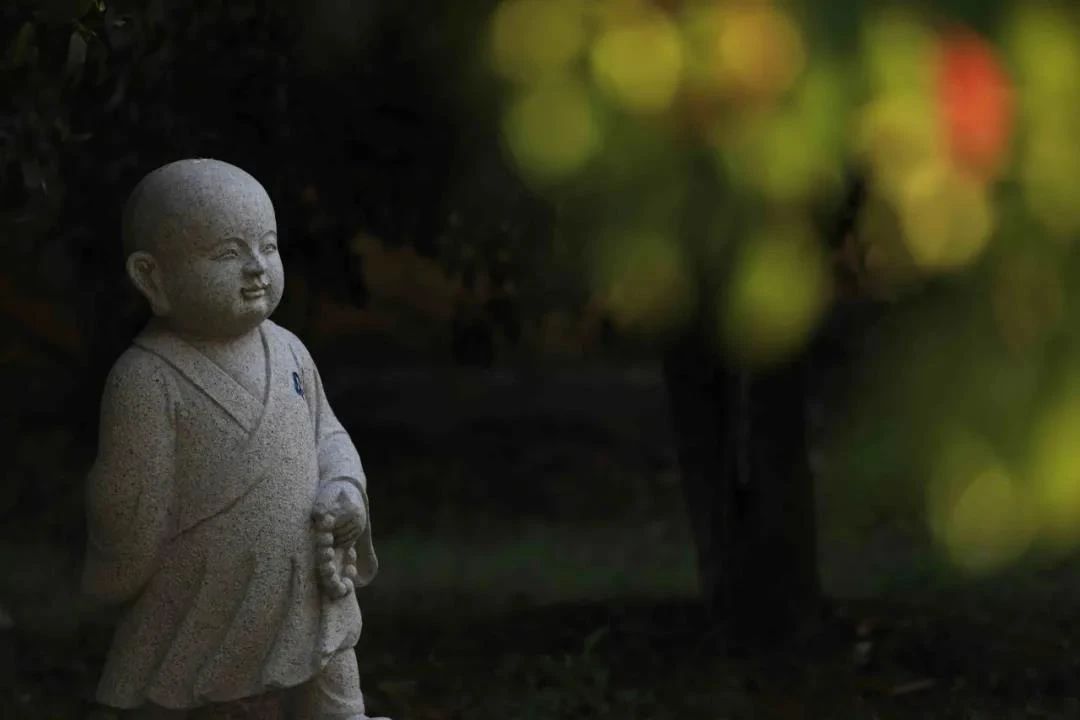 现代人学佛不受益的15种原因!所有学佛人都该看看 现代人学佛不受益的15种原因!所有学佛人都该看看