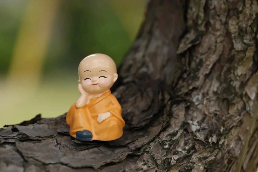 那些往生的人,都是念佛专一,能忍辱吃亏的人 那些往生的人,都是念佛专一,能忍辱吃亏的人