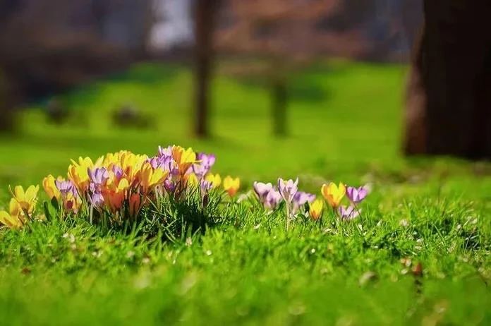 ˳Ե����ȥ����Ե������