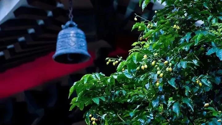 积德无需人见,行善自有天知 积德无需人见,行善自有天知