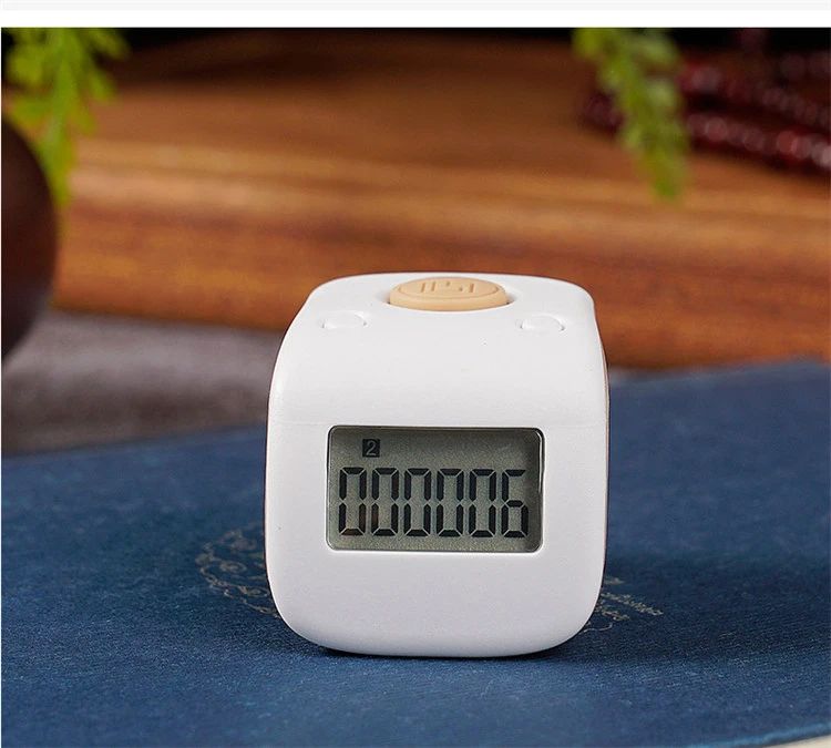 ������ѧ������С���ţ��������ڣ�