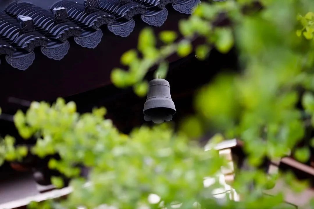 ʮ����������ʮ�֣�