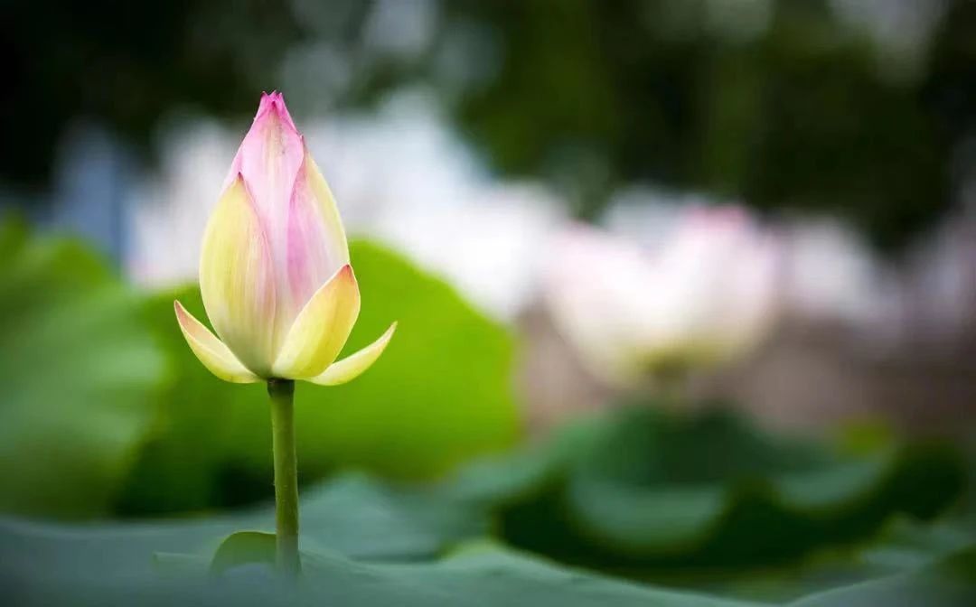 ѧ��ѧʲô������������