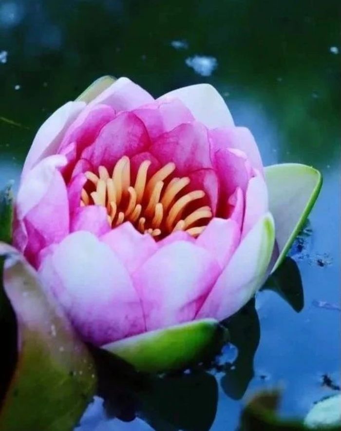 ������������β�����ȫ������