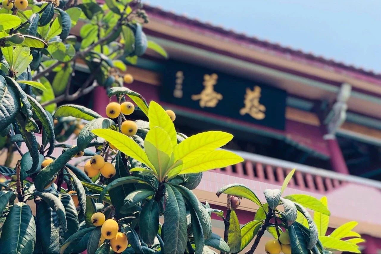 �����Ĺ�����ô���ˣ�Ҫ���������һ�£�